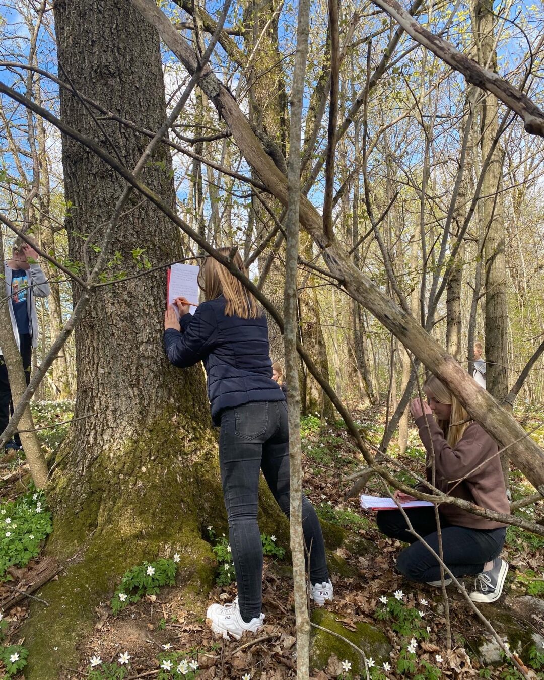 Observasjon i skogen