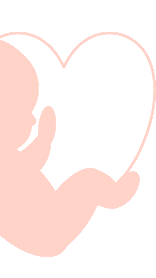 fetus-7460157_1280-aspect-ratio-9-16